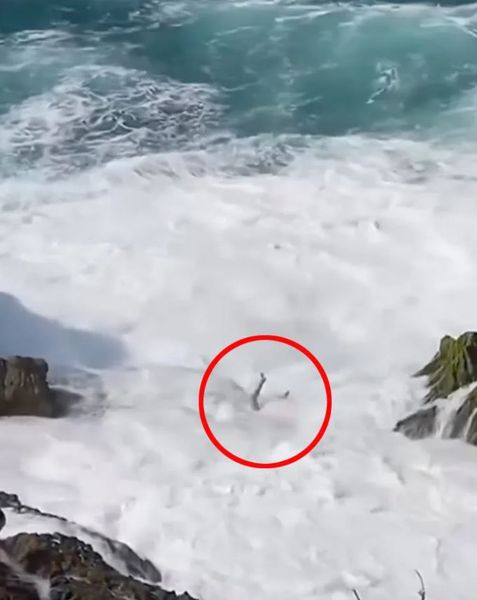 Рони Джосуа Симанджунтак, парня смыло огромной волной в Индийский океан, курьезы, туризм, путешествия