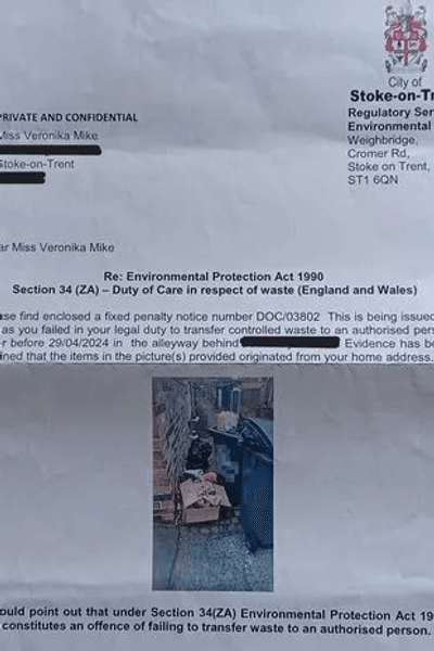 Супруги получили штраф за уборку мусора, штраф, деньги, мусор, крысы в мусоре, мусорные баки, контейнер для мусора,