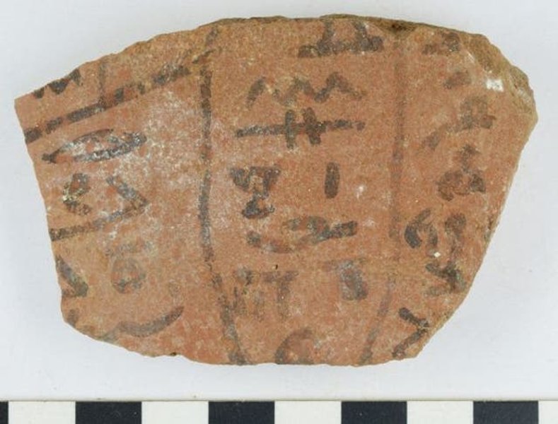 Фото: University of Tübingen