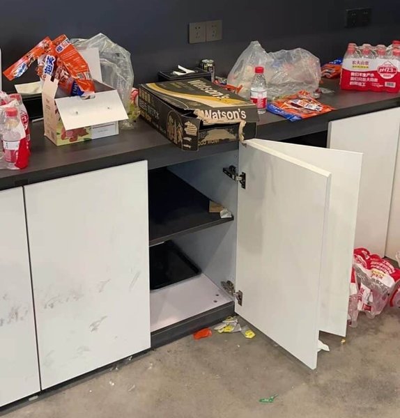 протест автосалон Тесла в Китае, Тесла в Китае, автосалон Тесла в Китае, скидки на Tesla