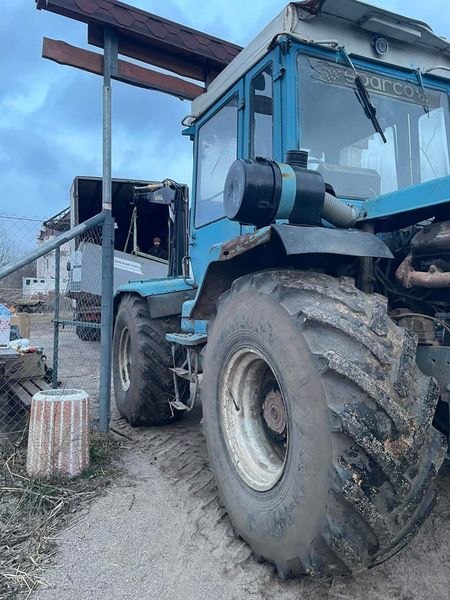 медведи, медвежий приют, защита медведей, спасение медведей, приют белая скала, домажир, приют домажир, домажир медведи