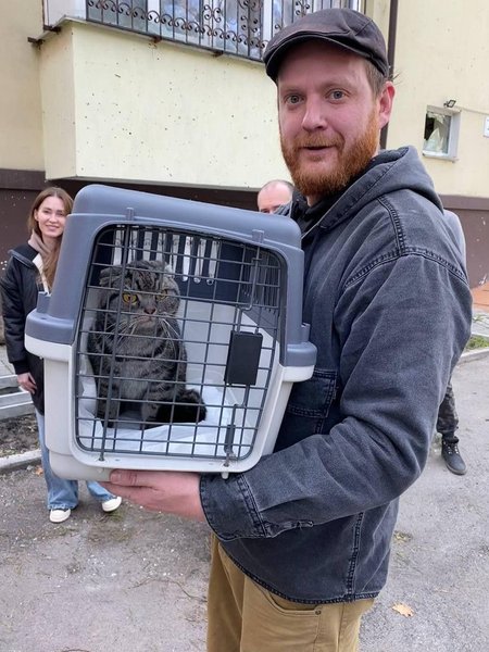 ирпень, кот, спасение животных, спасение кота, российская оккупация