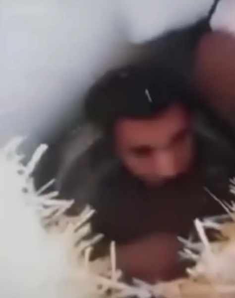 Омар Бін Омран з Алжиру, зникнення людей, розшук, курйози, фото, поліція, скандал, викрадення людей