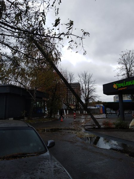 Украина, непогода, ураганный ветер, сильный дождь