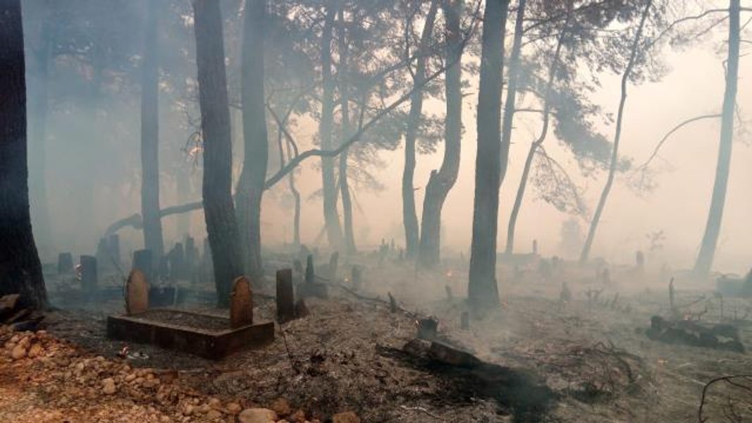 Турция, пожары в Турции, лесные пожары в Турции