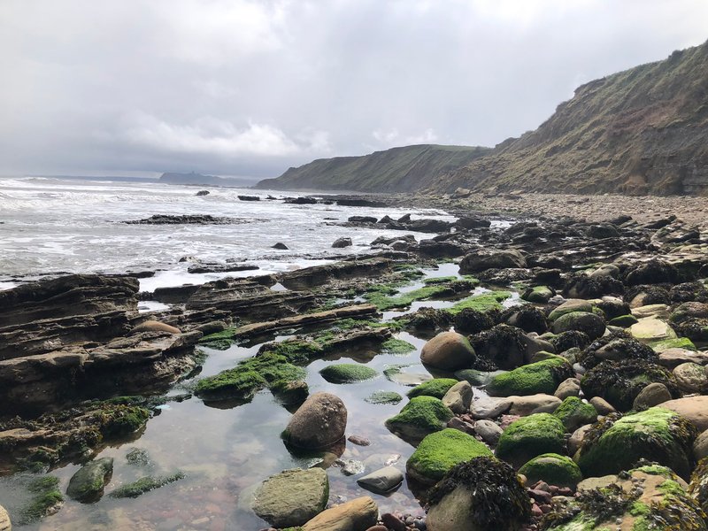 след, динозавр, Йоркшир