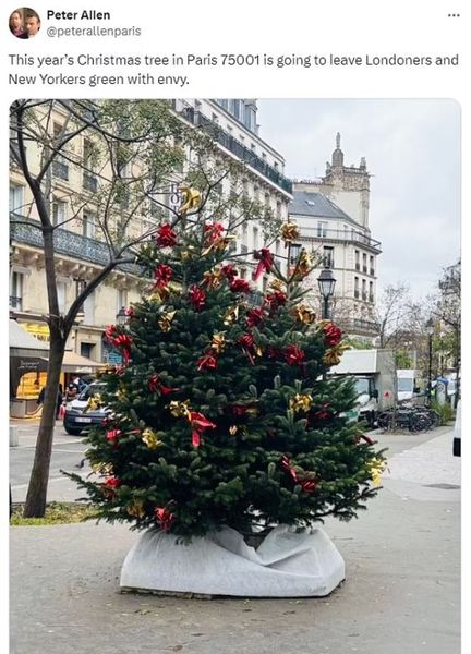 Главную елку Великобритании раскритиковали, что не так на этот раз, скандал, Новый год, Рождество