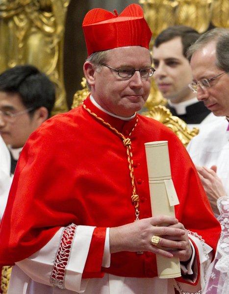 Кардинал Вим Эйк, 71 год, Нидерланды