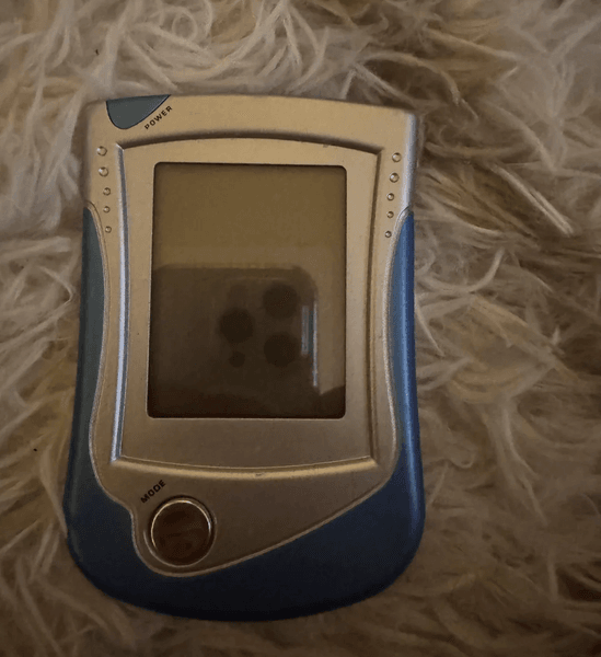 Женщина нашла таинственный гаджет 1990-х годов, которым оказался портативный цифровой помощник