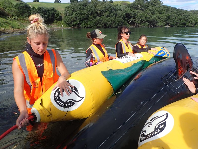 Зоозащитники из Project Jonah учатся спасать животных.