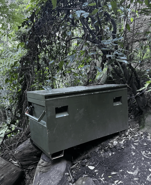 Загадкова скринька в лісі в Австралії, коробка, зелена коробка, камуфляж, незвичайна знахідка, соцмережі, курйози, прикута до дерева, геокешинг