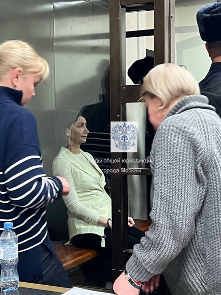 Елена Блиновская, суд, марафоны желаний, блогер, российский блогер