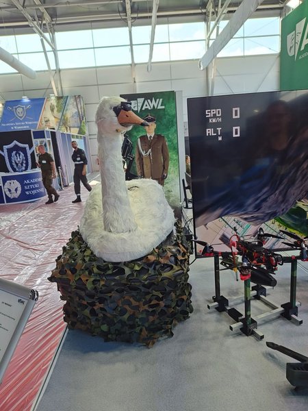 Польский беспилотник Kaczka