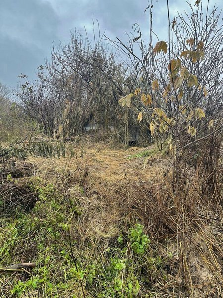 курская область защитные сооружения, линия обороны, граница с украиной, окопы, оборона