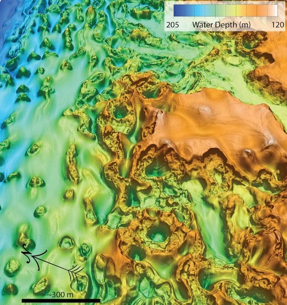арктия вічна мерзлота
