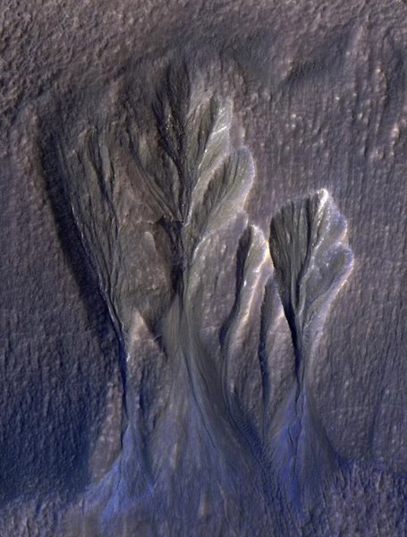 марс життя кишені