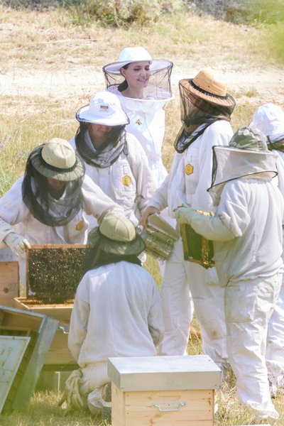 Women for Bees, анджелина джоли
