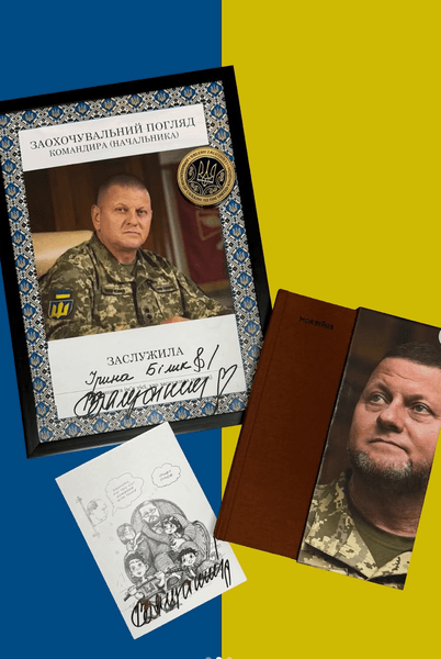 Книга Залужного