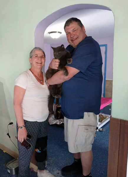 Кота нашли за 2000 км от дома через 5 лет, поиск животных, потерянные коты, США