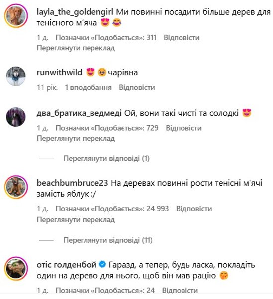 Золотистий ретривер, відео, коментарі