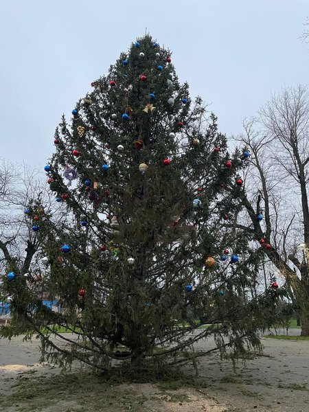 ялинка Маріуполь, різдвяна ялинка, новорічна ялинка