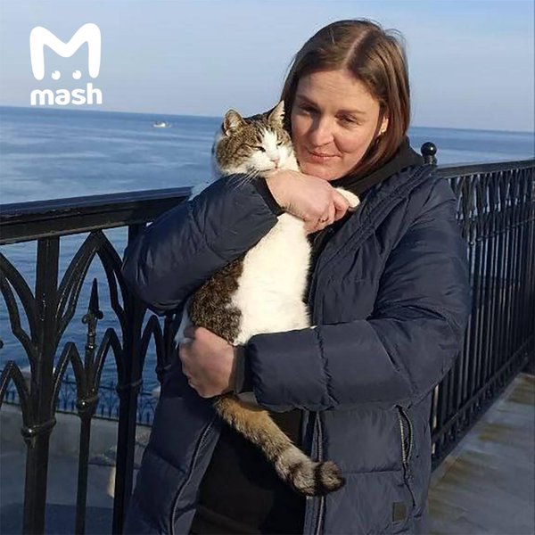 кішка Муся, врятована кішка, волонтери врятували кішку Мусю, росіянин скинув кішку з обриву