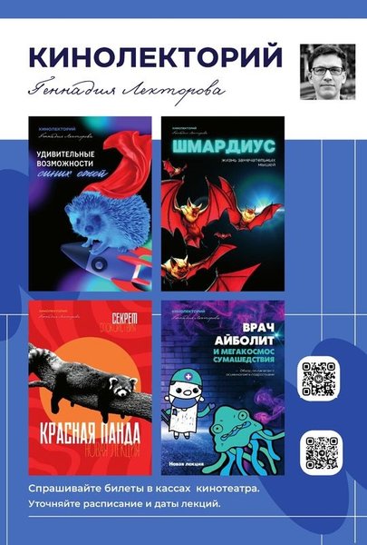 кино, российское кино, кинопродукт, пиратские фильмы