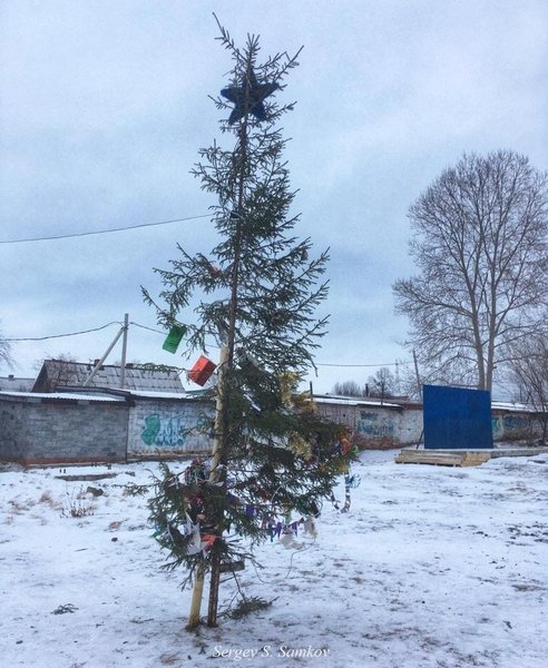 елка, новый год