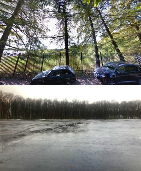 вырубка леса в рф