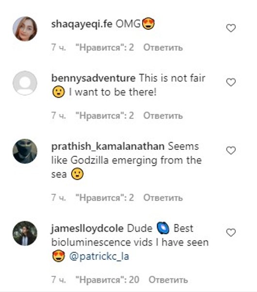 США, океан, планктон, комментарии,