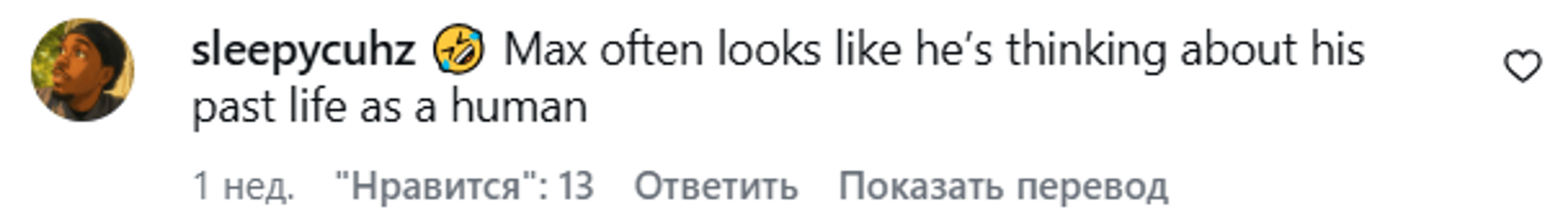 Реакция сети на собачку Макса