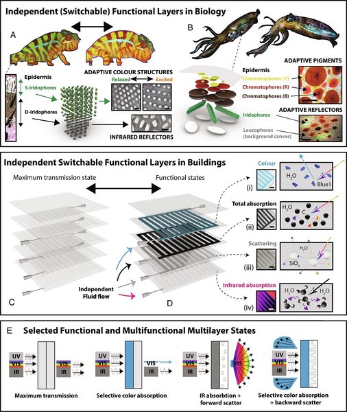 презентация, жидкое стекло, канадские ученые