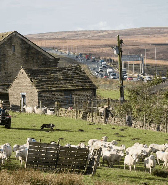 Фермерський будинок 18 століття з вівцями, розташований між смугами жвавої автомагістралі M62 у Західному Йоркширі