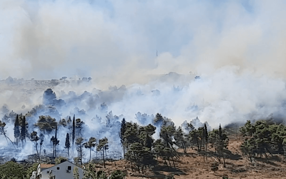 пожар в Черногории, лесной пожар