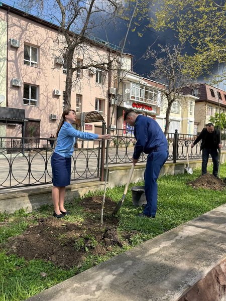 Пожар на НПЗ в Туапсе – в прокуратуре садят деревья