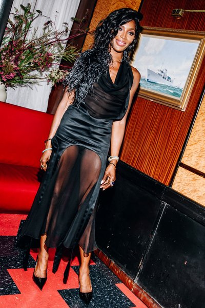 Наомі Кемпбелл, картина