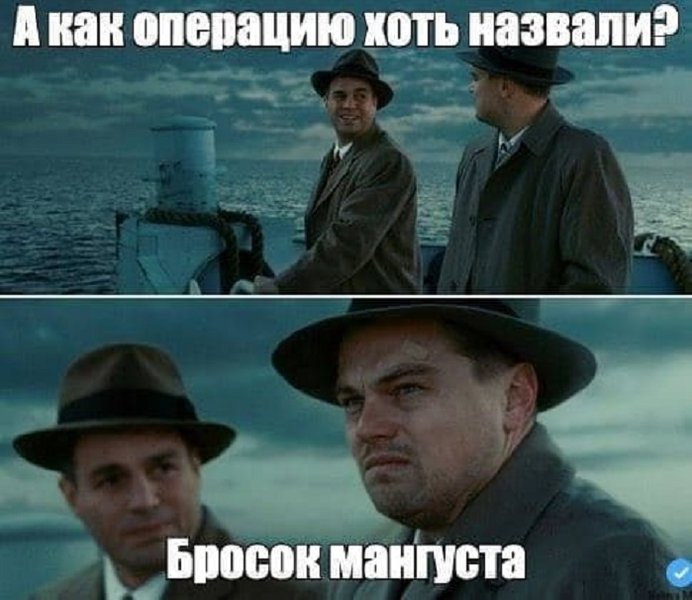 Бросок мангуста