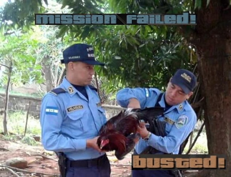 Українці висміяли мемами затримання Шарія