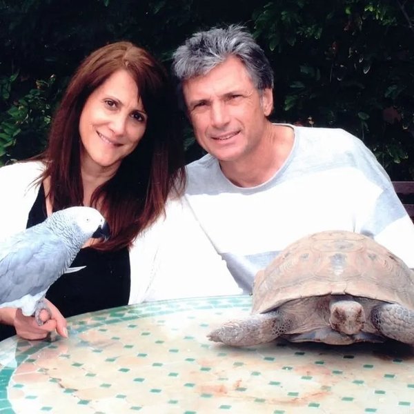 робин кей, американский идол