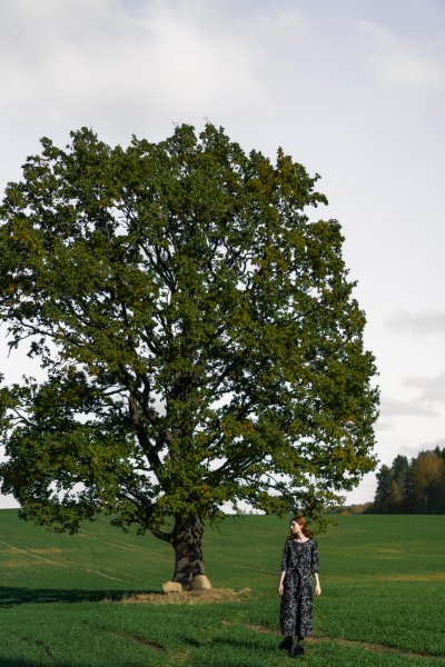 arbre, fille