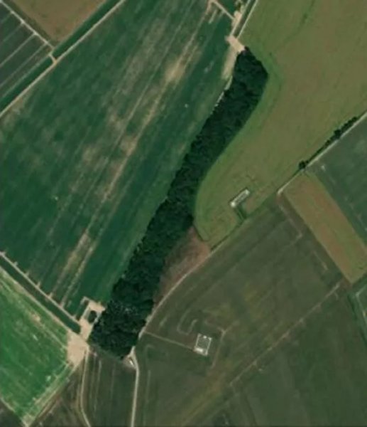 мемориальный парк шеффилд