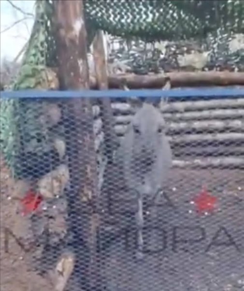 Російські військові