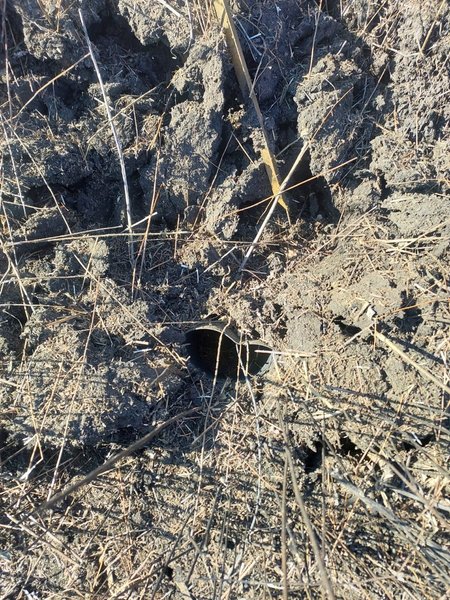 Мина, российская мина, взрывчатка