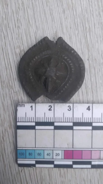 Вышгород, артефакты, раскопки, археология, археологи, история, предметы, находки, Киевская Русь, Княгиня Ольга, исследователи, ученые