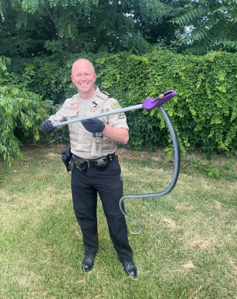 Змія в комісійному магазині, пожертвування, курйози, знахідки, книгарня, фото, цікаві знахідки, США, дивні історії