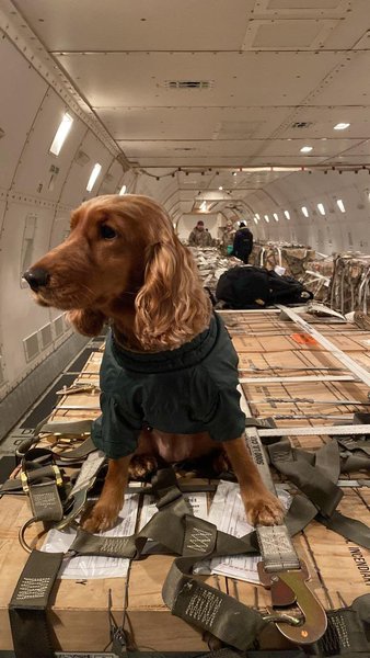 постачання зброї Україні, зброя для всіх, військова допомога США Україні