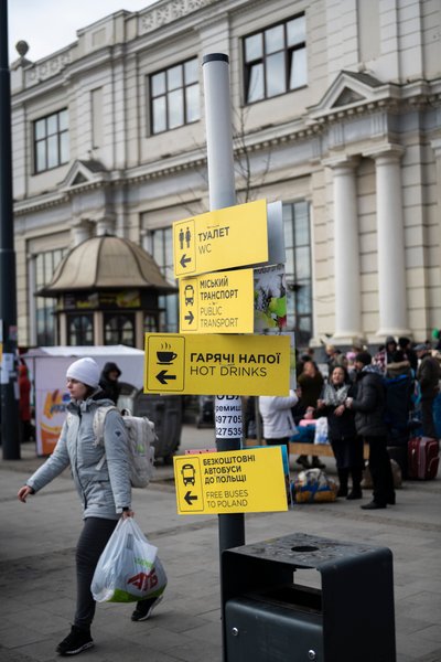 робота в Польщі, працевлаштування в Польщі, робота в Польщі для українців, українці в Польщі, робота для біженців, робота в Польщі легально, PESEL у Польщі,