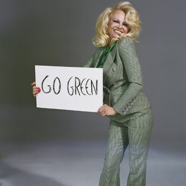 памела андерсон