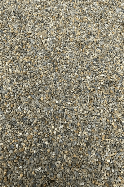 Визуальная головоломка, утка, камни и галька, тест, задача, головоломка, берег, пляж,