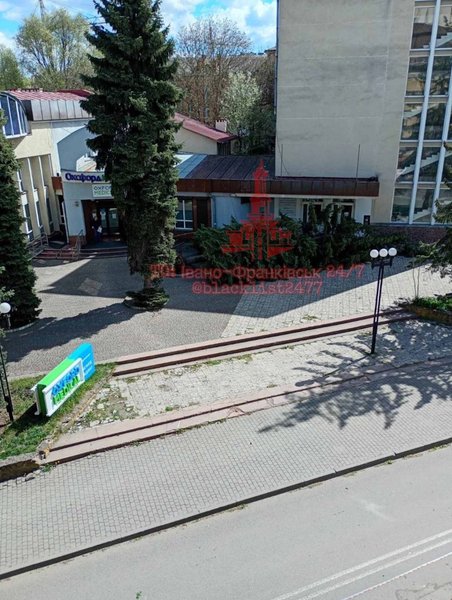 вітер ялинка